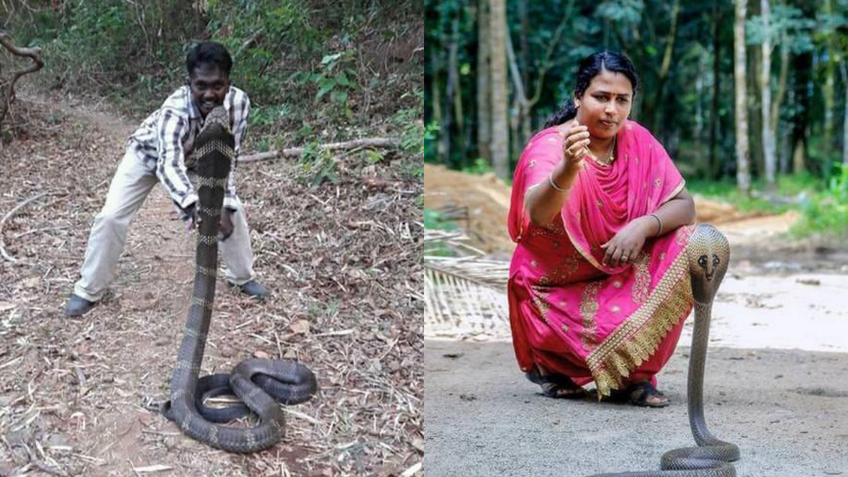 Kerala To Certify Snake Handlers, A First in the Country