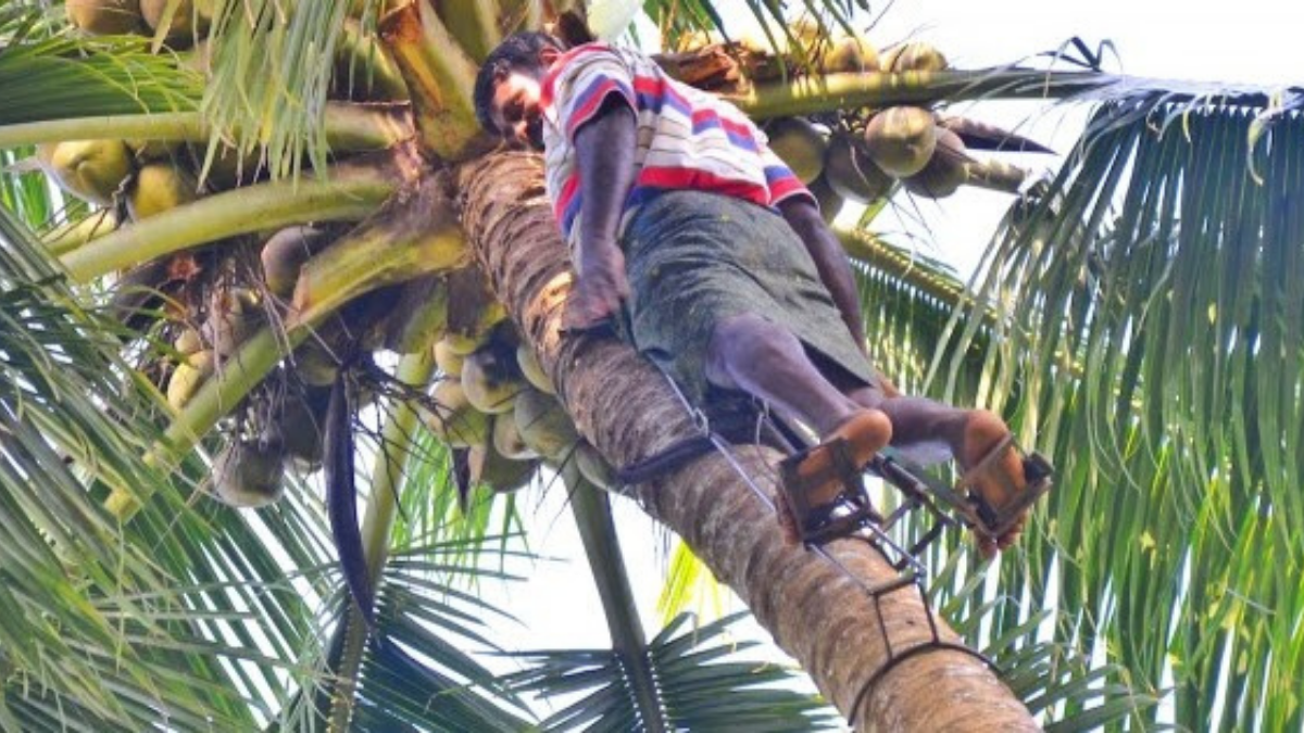 Professions Our Parents Threatened Us With When We Got Bad Grades