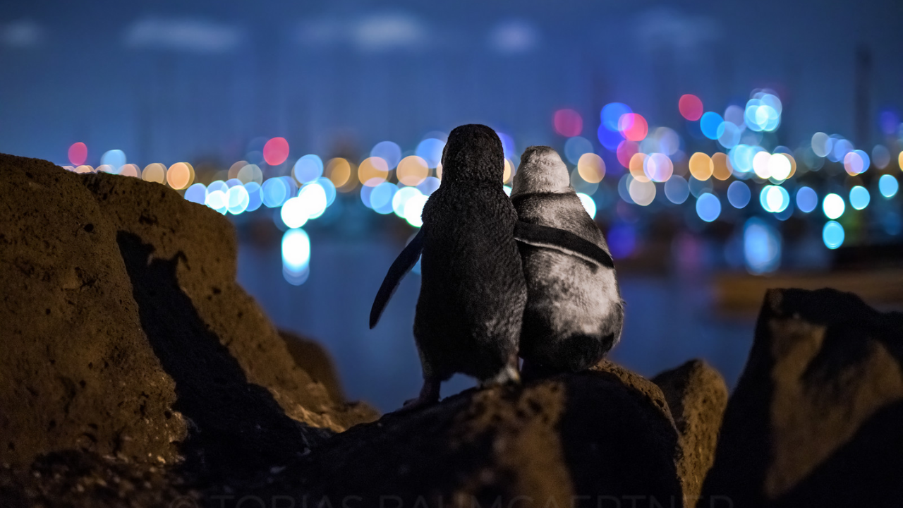 Heart-warming Viral Pictures of 2020 You Should See