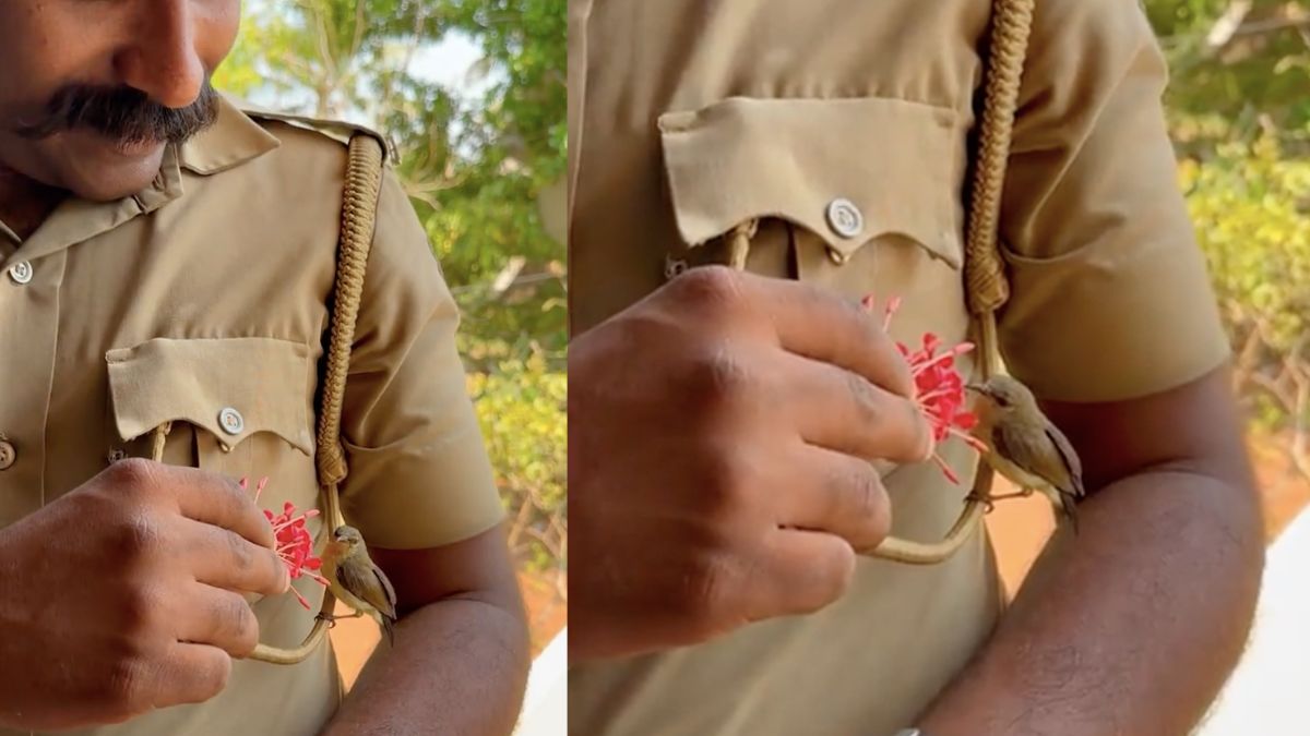 Little Bird Perches On Kerala Cop’s Uniform In Viral Video