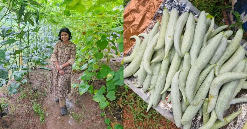 Thanal: How a Kerala Pravasi Returned from Kuwait to Start an Organic Venture